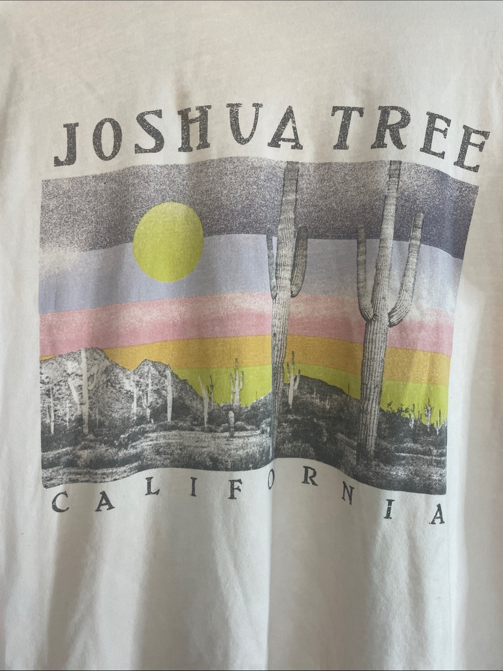 Gildan Joshua Tree California Graphic Tee - Light Blue with Multicolor Print
